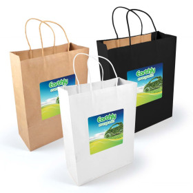 Express Paper Bags